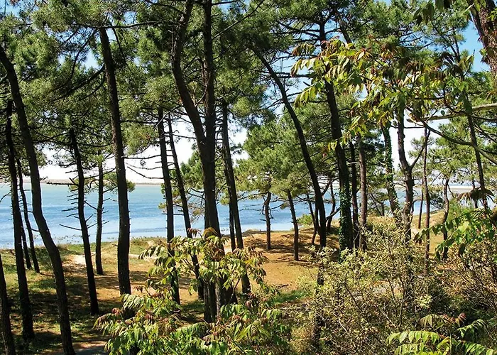 Havre De Paix Quartier Du Parc Meuble De Tourisme Classee 4 Etoiles Royan