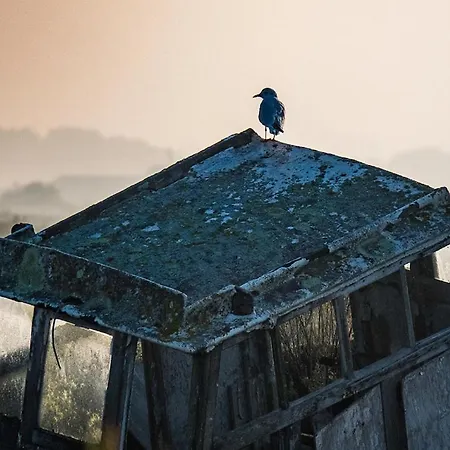 Havre De Paix Quartier Du Parc Meuble De Tourisme Classee 4 Etoiles Holiday home *