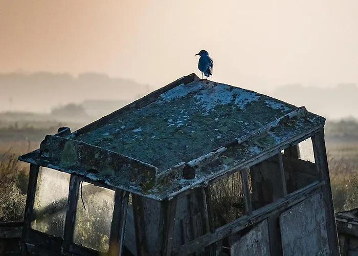 Havre De Paix Quartier Du Parc Meuble De Tourisme Classee 4 Etoiles Casa de Férias *